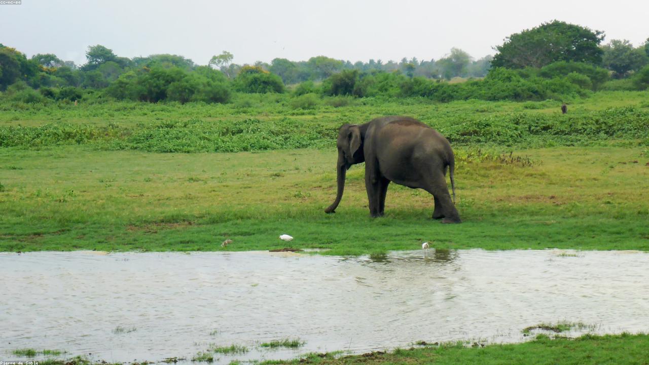 Family Wellness Travel