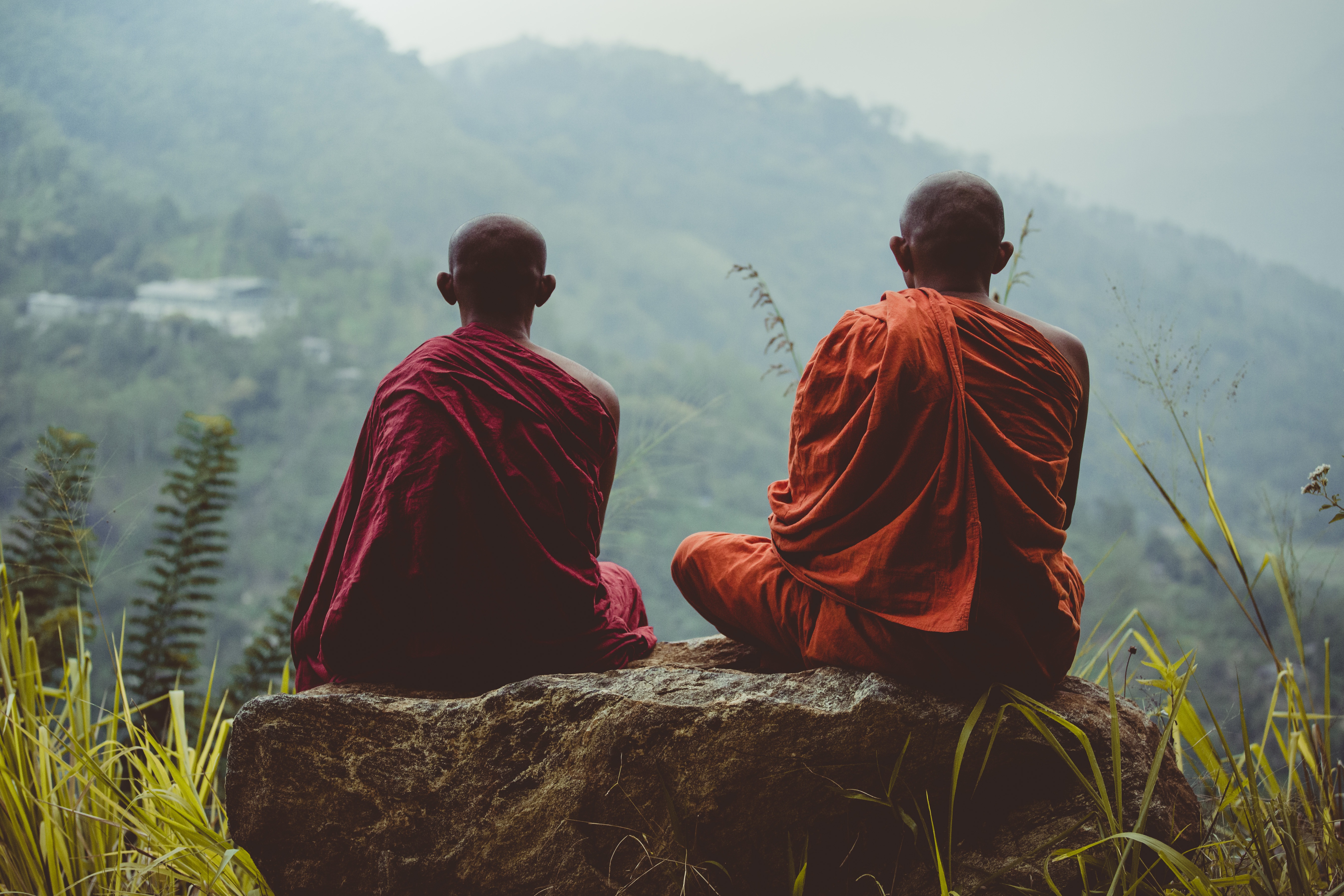Wellness Travel Tips